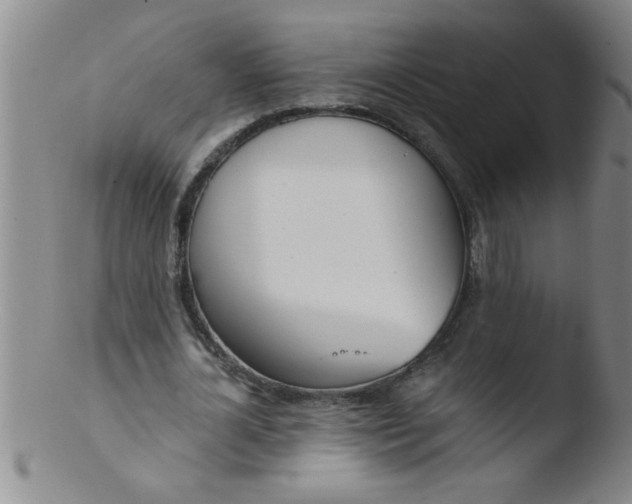 X0000103490724200809261950