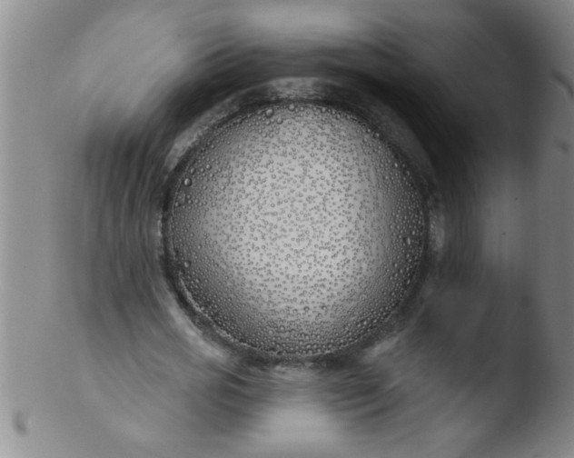 X0000103490725200809261950