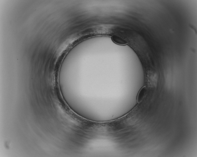 X0000103490726200809261950