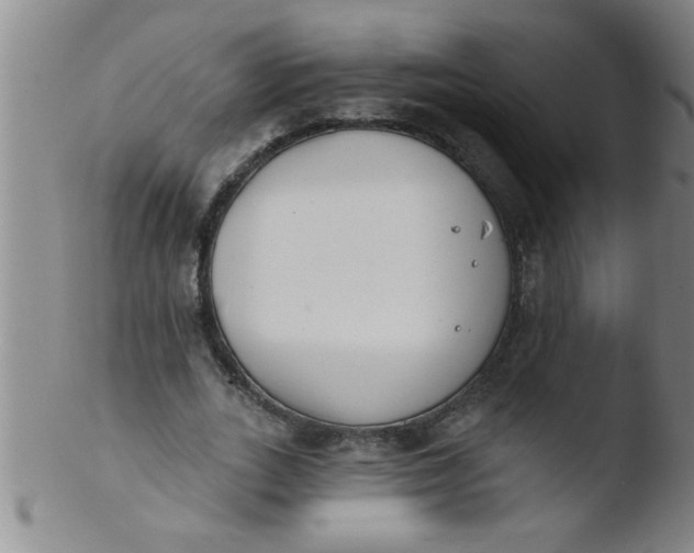 X0000103490727200809261950