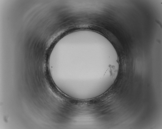 X0000103490728200809261950