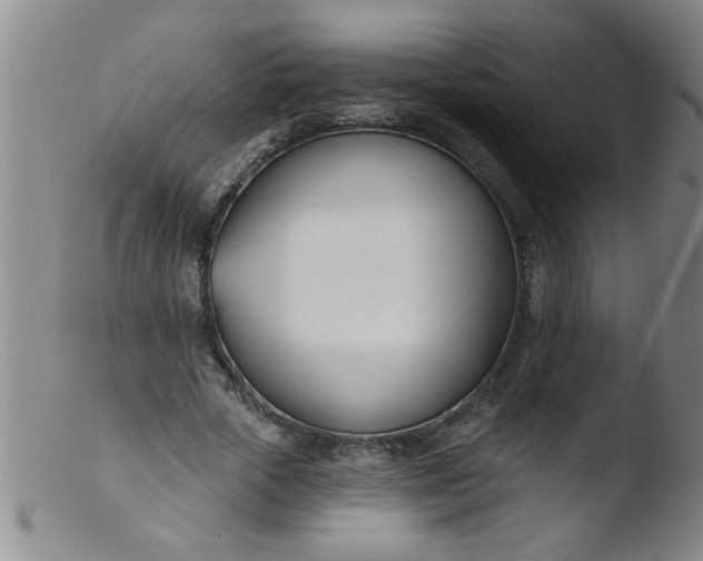 X0000103490729200809261950