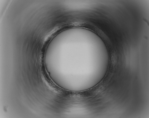 X0000103490730200809261950