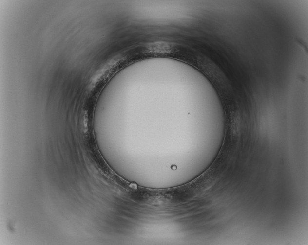 X0000103490731200809261950