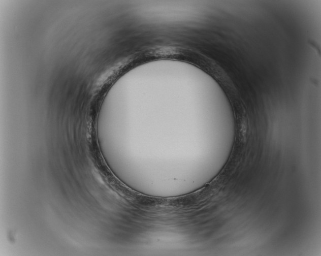 X0000103490732200809261950