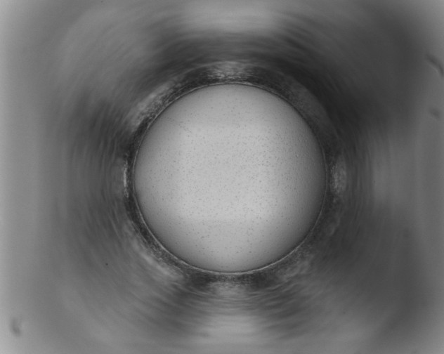 X0000103490733200809261950