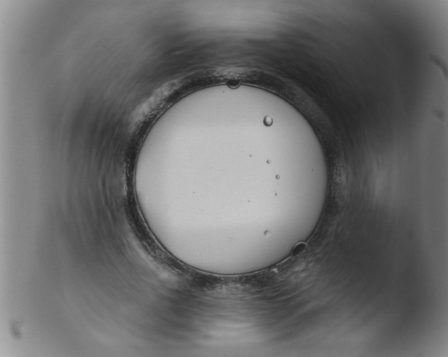 X0000103490734200809261950