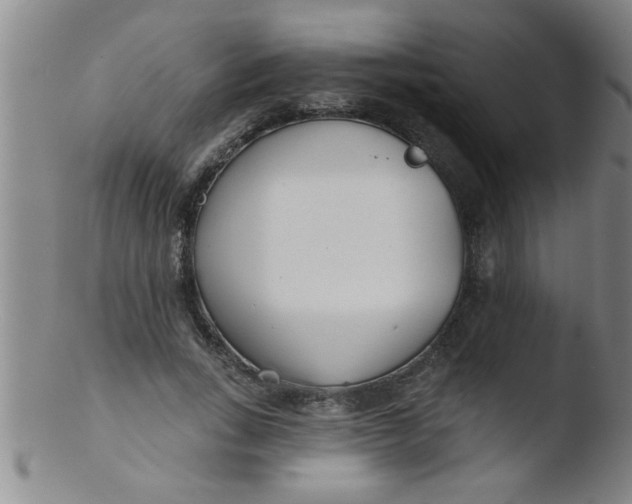 X0000103490735200809261950