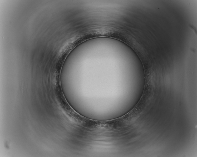 X0000103490736200809261950