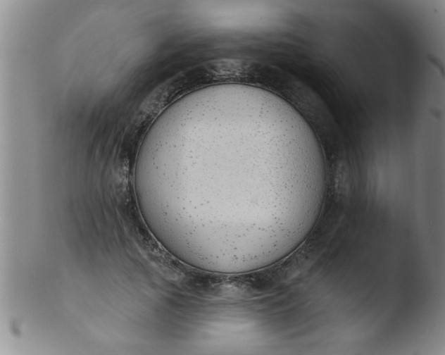 X0000103490737200809261950