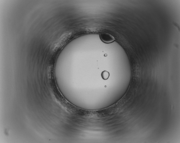 X0000103490738200809261950