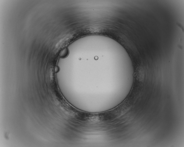 X0000103490740200809261950