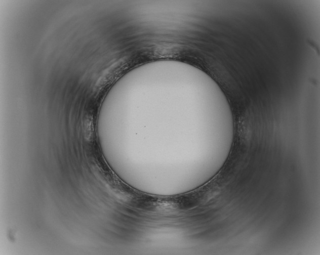 X0000103490741200809261950