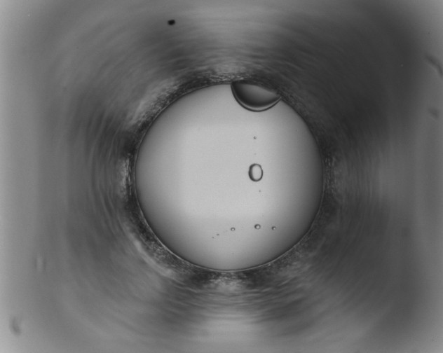 X0000103490742200809261950