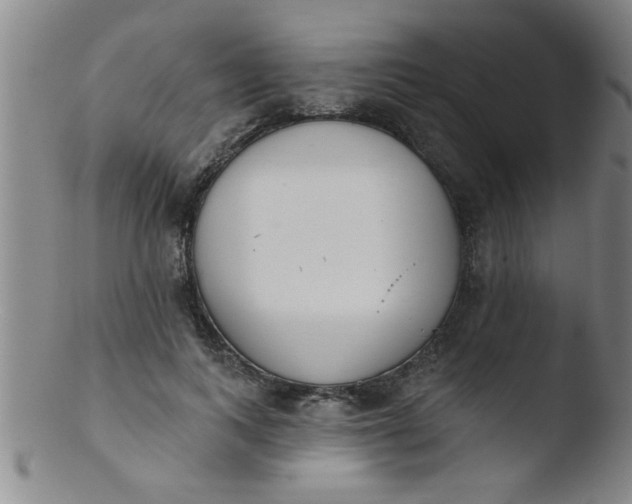 X0000103490743200809261950