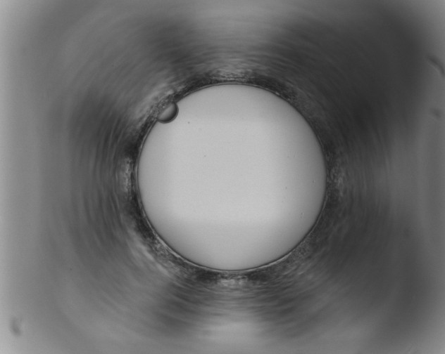 X0000103490744200809261950