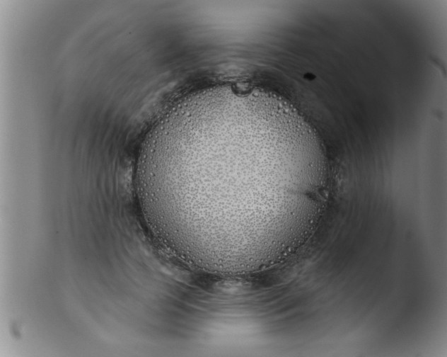 X0000103490745200809261950