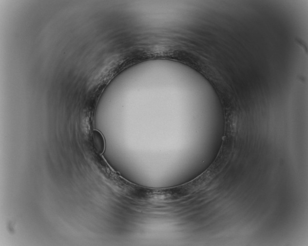 X0000103490746200809261950