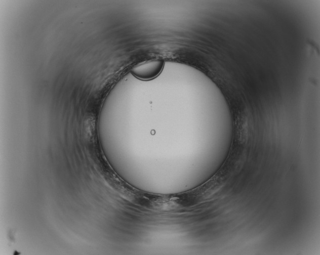 X0000103490747200809261950