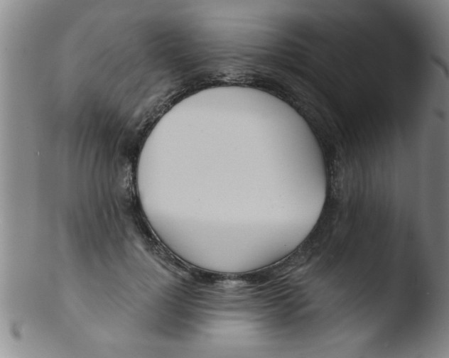 X0000103490748200809261950