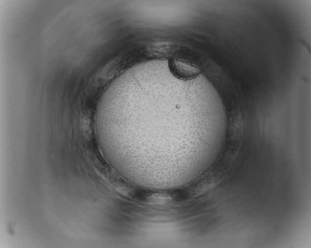 X0000103490749200809261950