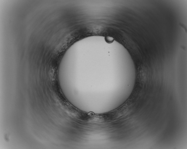 X0000103490750200809261950