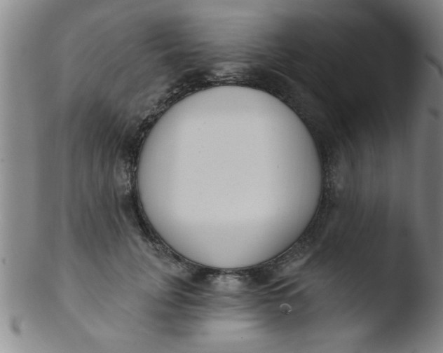 X0000103490751200809261950