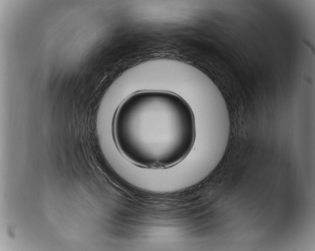 X0000103490752200809261950