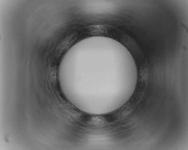 X0000103490753200809261950