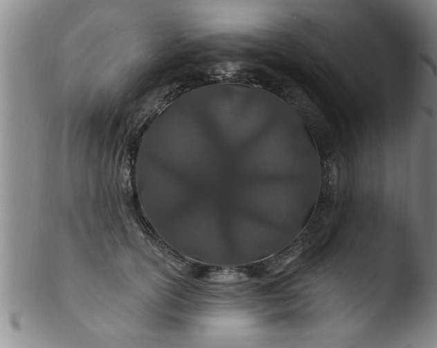 X0000103490754200809261950