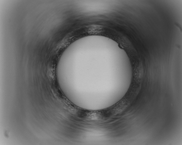 X0000103490755200809261950