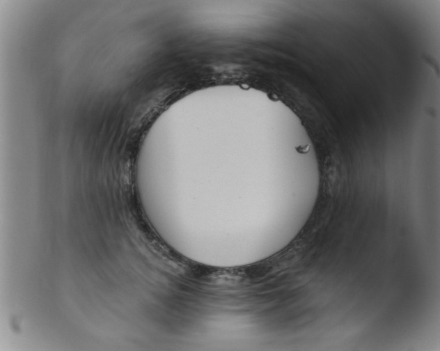 X0000103490756200809261950