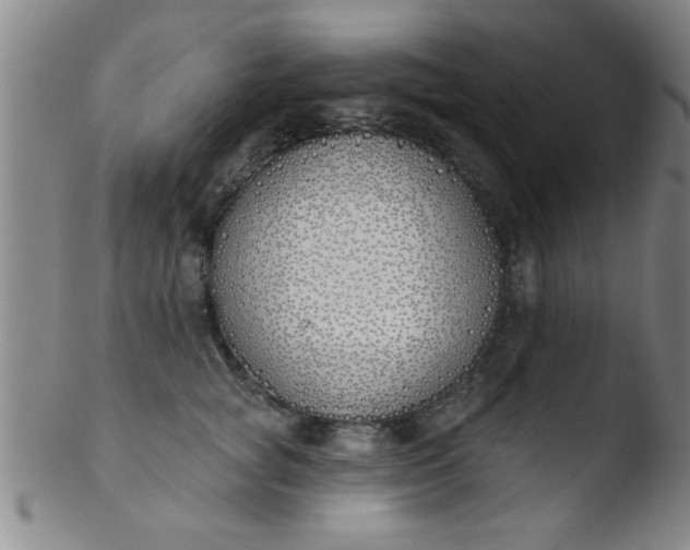 X0000103490757200809261950