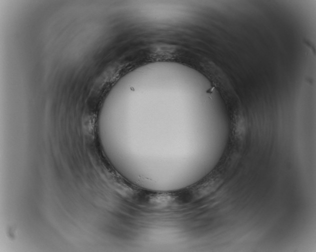 X0000103490759200809261950