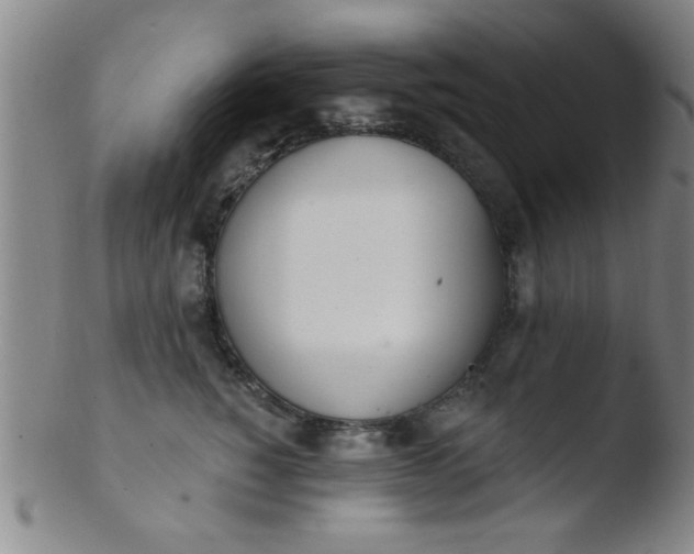 X0000103490760200809261950