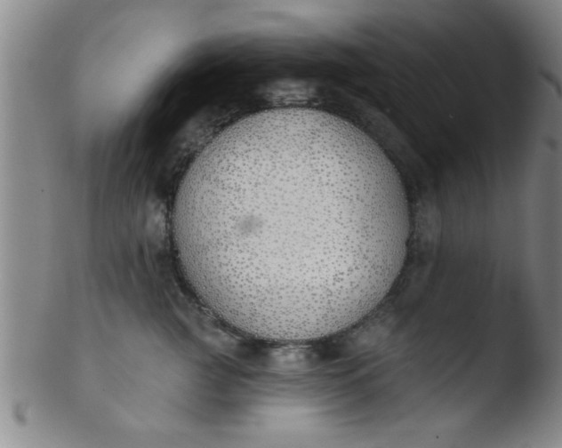 X0000103490761200809261950