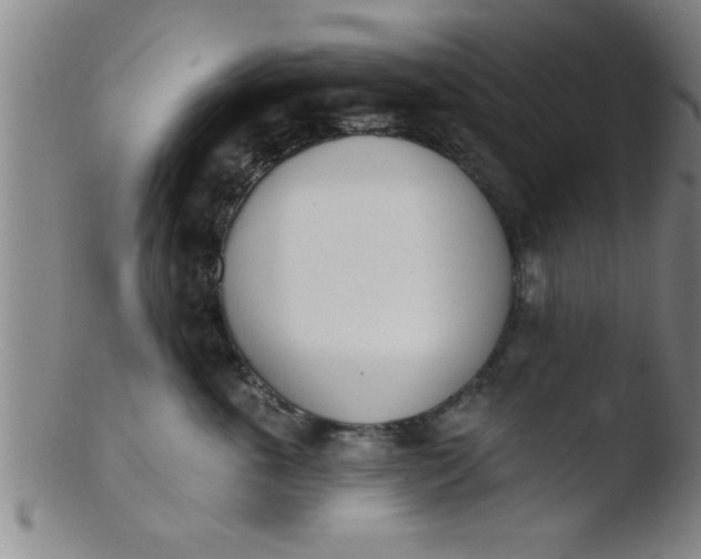 X0000103490763200809261950