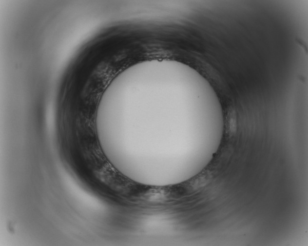 X0000103490764200809261950