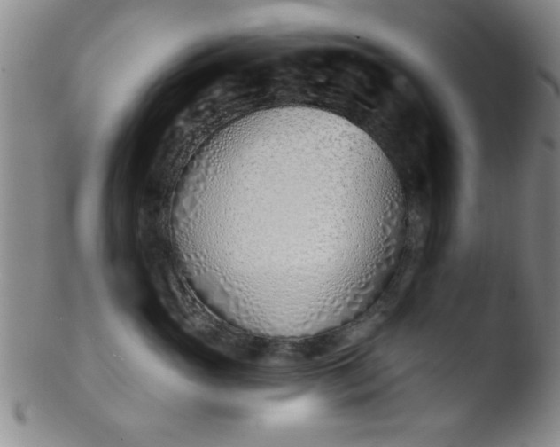 X0000103490765200809261950