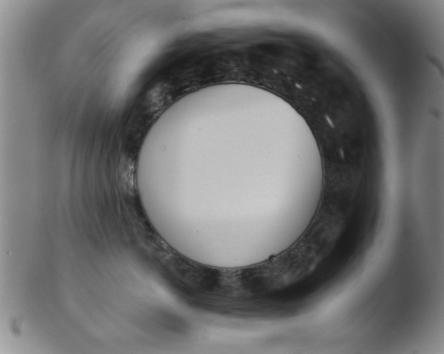 X0000103490766200809261950