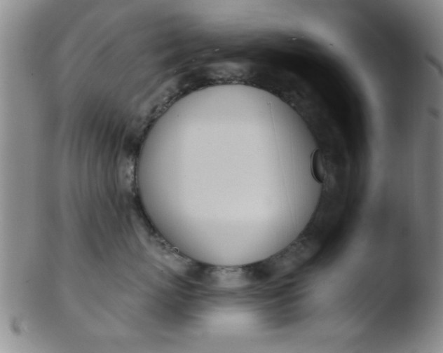 X0000103490767200809261950