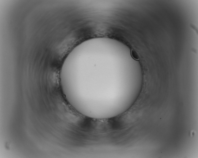 X0000103490768200809261950