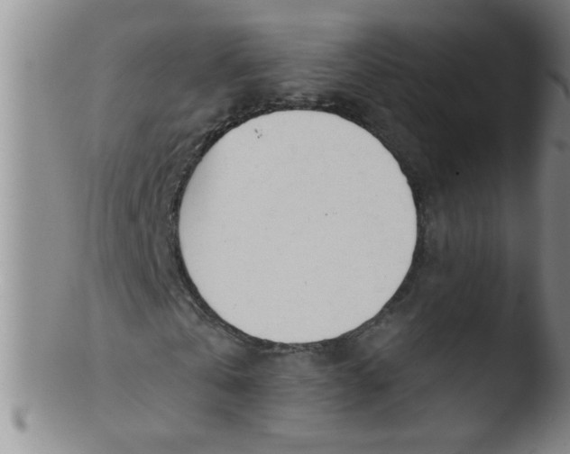 X0000103490769200809261950