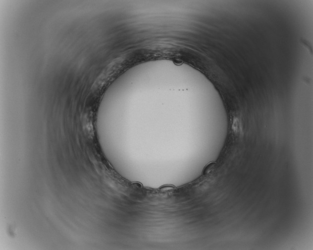 X0000103490771200809261950