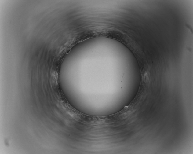 X0000103490772200809261950