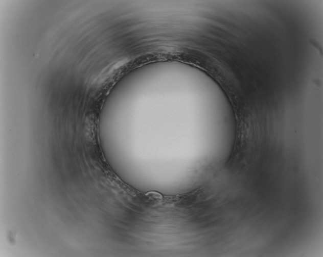 X0000103490773200809261950