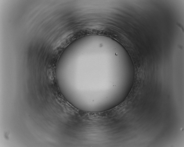 X0000103490774200809261950