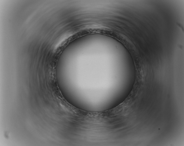 X0000103490775200809261950