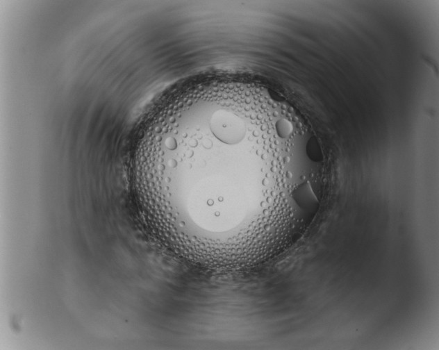 X0000103490776200809261950