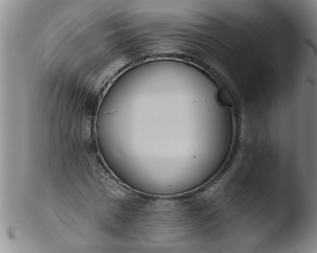 X0000103490777200809261950